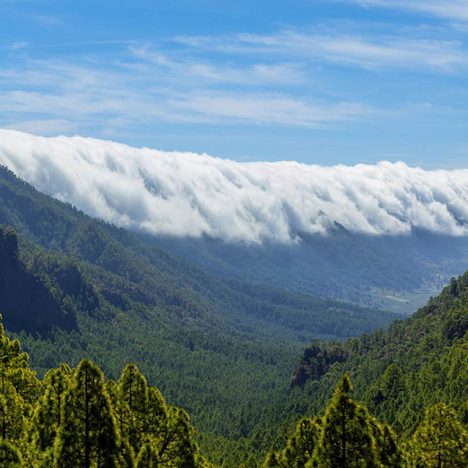 Warum sollte man auf die Kanarischen Inseln reisen? – Eine faszinierende Entdeckungsreise auf Teneriffa